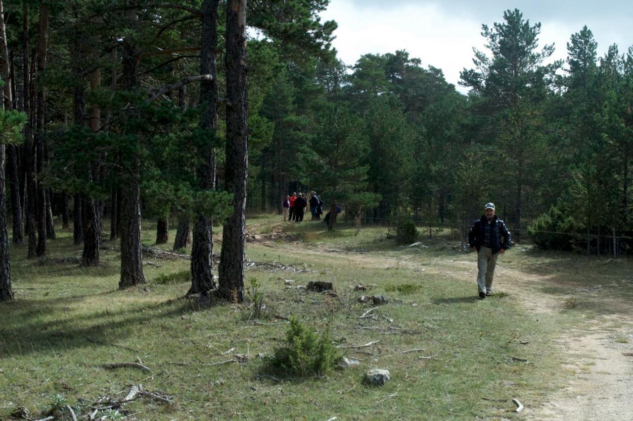Sierra De Gudarアパートメント エクステリア 写真