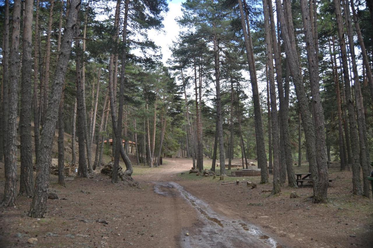 Sierra De Gudarアパートメント エクステリア 写真